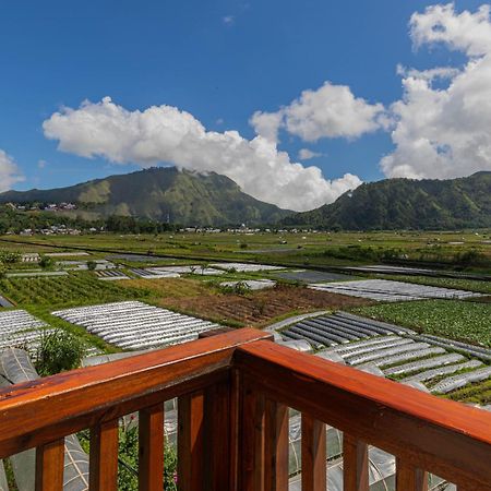 Teras Sawah Guest House Syariah Sembalunlawang Ngoại thất bức ảnh