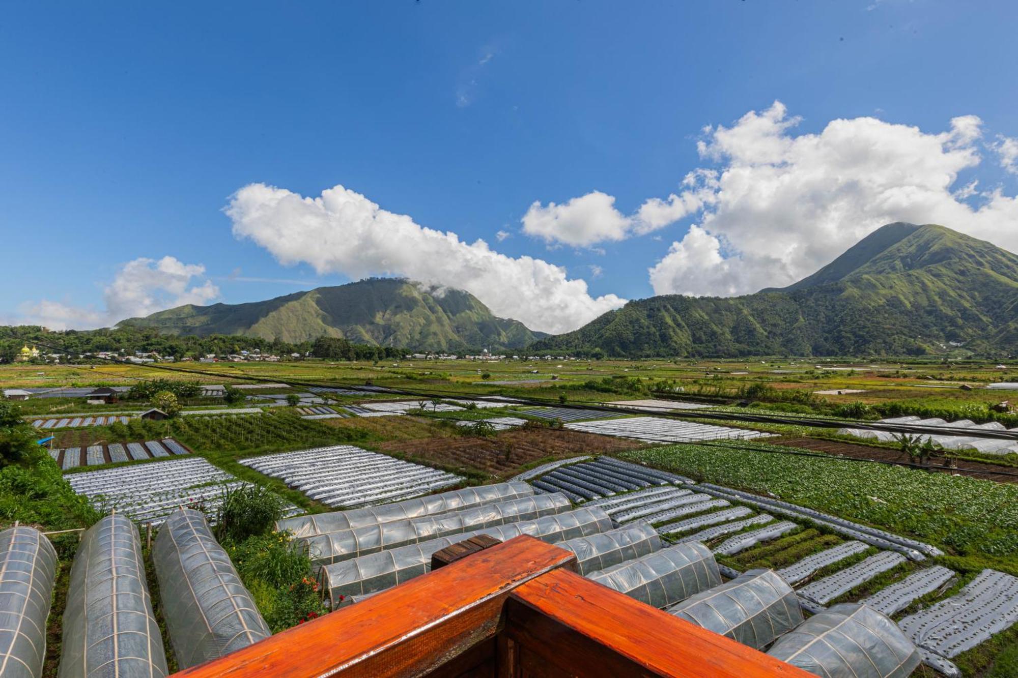 Teras Sawah Guest House Syariah Sembalunlawang Ngoại thất bức ảnh
